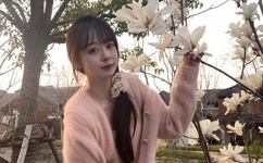 豹头王传说小说